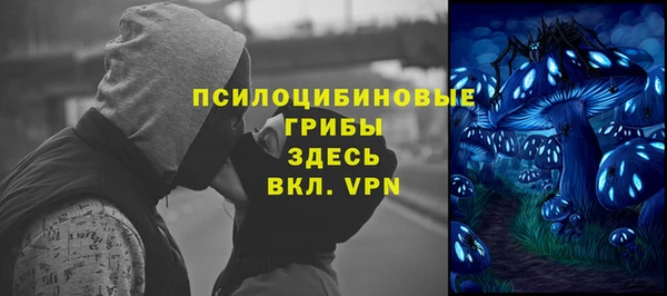 a pvp Абдулино