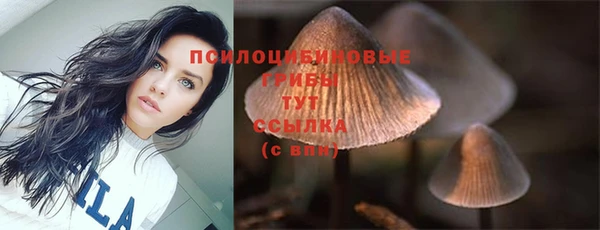 a pvp Абдулино