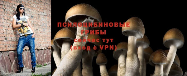 a pvp Абдулино