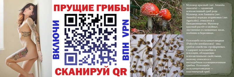 Галлюциногенные грибы Magic Shrooms  площадка как зайти  Мосальск  ОМГ ОМГ как зайти 